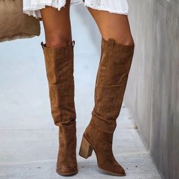 Boot Suede Knee High Ladies Solid Pointed Toe Tall Retro Roman Heels Shoes Female Autumn Winter Long Boot 230810
