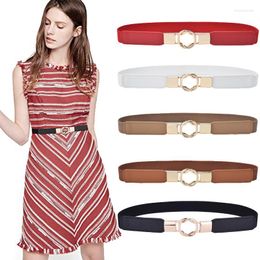 Belts Women Skinny Stretchy Waist Belt For Dress Ladies Elastic Thin Plus Size