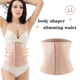 Posture Corrector Belt Waist Trainer Shinning Latex Waist Cincher Fajas Girdle Gym Corset