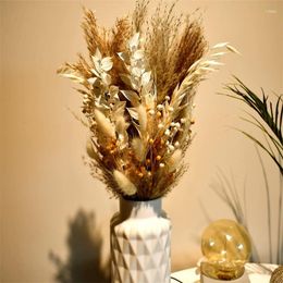 Decorative Flowers Real Natural Acacia Bean Oat Pampas Grass Dried Wedding Party Decoration Craft DIY Home Accessories Bouquet Po Props