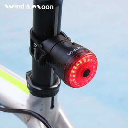 Bike Lights Bicycle Taillights Intelligent Sensing Brake Lights Usb Road Bike MTB Rear Tail Lights Double Fracket Mounting for Saddle Seat HKD230810