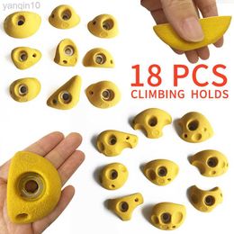 Rock Protection 15/18 piece rock climbing holds for Children and Adults--Indoor/outdoor.Your quality choice! HKD230810