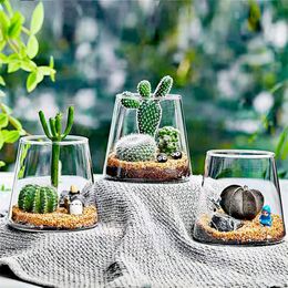 Vases Micro Landscape Ecological Glass Bottle Green Plant Succulent Vase Fleshy Cactus Miniature Bonsai Terrarium Desktop Decor 230810