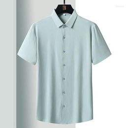 Men's Casual Shirts Delicate Soft Shirt 2023 Summer Simple Solid Light Business Underlay