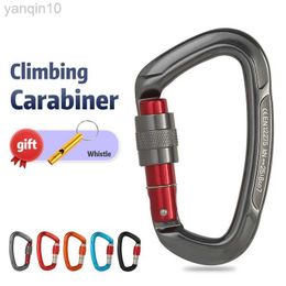 Rock Protection Outdoor Professional Rock Climbing Carabiner 25kN Lock D-shape Safety Buckle For Keys Tools Equipment HKD230810