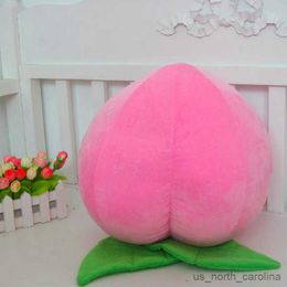 Stuffed Plush Animals New Pink Peach Plush Toys Baby Fruit Home Decorate Doll Birthday Gift Kids R230811