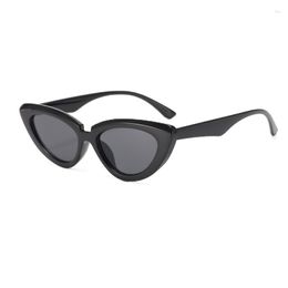 Sunglasses 2023 Female Ins Cat-eye Sun Glasses Street S Eyeglasses Net Red Gap Modelling Tide Sun-glasses Women's Style