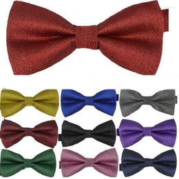 Bow Ties Silver Mens Tie Plaid Adjustable Adult Knot Evening Party Decorated Neckwear Colors 10 Pcs/lot