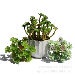 Decorative Flowers Simulated Succulent Plant Crassula Volkensii Rain Heart Ornamental Bonsai Colour Artificial Potted Without Flowerpot