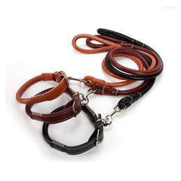 Dog Collars Pet Collar Set Leash Personalized Luxury Leather Chihuahua Cat Adjustable Medium Small Dogs Necklace Accessories