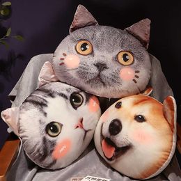 Stuffed Plush Animals Cartoon Cat Plush Toys Summer Blanket Stuffed Plush Cushion Animal Children Gifts