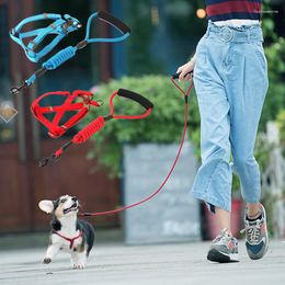 Dog Collars Strong Durable Pet Harness And Leash Set Cosy Nylon For Small Medium Dogs Puppy Chain Cat Collar Peitoral Cachorro