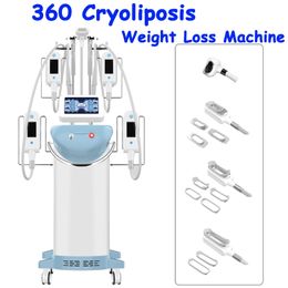Professional 5 Handles Cryolipolysis Weight Loss Fat Dissolve Body Slimming Fat Freeze Machine Salon Use