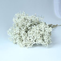 Decorative Flowers Dried Flower White Gypsophila Wedding Decoration Bouquet Real Flore For Living Room Decor 50g/lot And 100g/lot Free