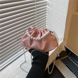 Shoulder Bags Popular Pleated Small Bag for Women's 2023 Autumn New Versatile Popular Chain Straddle Bag with a Western Style Shoulder Bagstylishhandbagsstore