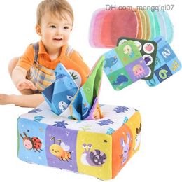 Pull Toys Montessori baby tissue toy soft sensor baby tissue box for kindergarten learning exercise finger games baby toys Z230814