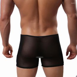Underpants Men Super Thin Sexy Boxer Gay Lingerie Mesh Transparent Soft Black White Underwear