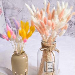 Decorative Flowers 30pcs/lot Natural Tail Dried Arrangement Shooting Props Real Touch Mini Pampas Bunches Wedding Home Decoration