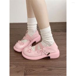 Dress Shoes 2023 Pink French Thick Heels Women Summer Casual Pumps Sweet Lolita Mary Jane Vintage Butterfly Ladies