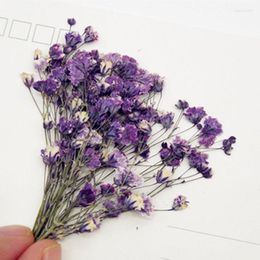 Decorative Flowers Baby's Breath Eternal Flower Decoration For DIY Handmade Activity 80 Pcs