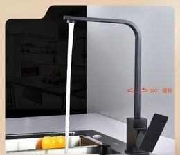 Kitchen Faucets Black Paint Seven-Character Square Faucet Refined Copper And Cold Rotatable Sink Vegetable Basin