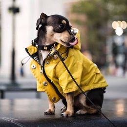 Dog Apparel Pet Dog Clothes for Small Medium Dogs Waterproof Puppy Raincoat Fashion Cool Dog Jacket Coat Windproof Dogs Outfit Pet Supplie 230810