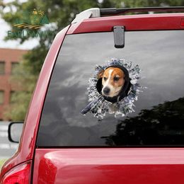 Stickers EARLFAMILY 13cm x 11.9cm for Jack Russell Terrier Caravan Car Sticker Windshield Decal Surfboard Graffiti Funny Waterproof Decor R230812