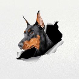 Stickers V1059# Sticker Doberman Dog Pet Animal Waterproof Vinyl Decal Car Accessories Decor Pegatinas Para Coche R230812