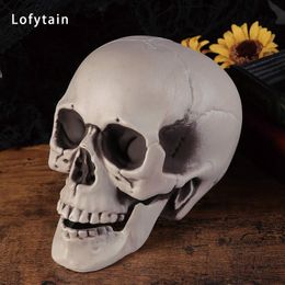 Other Event Party Supplies Lofytain Halloween Decorations Artificial Skull Head Model Plastic Skull Bone Horror Skeleton Model for Bar Party Home Decor 230811