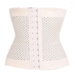 Women's Shapers Women Latex Elastic Corset Waist Belt With 3 Rows Hook Trainer Body Shaper