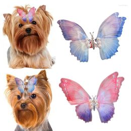 Dog Apparel Butterfly Hairpin Moving Gradient Hair Clip Pet Three-Dimensional Barrettes Pearl Accessories