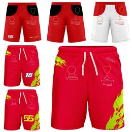 2023 New F1 Team Fans Shorts Formula 1 Men Shorts Racing Extreme Sport Enthusiast Breathable Shorts Casual Beach Men's Short Pants