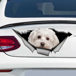 Stickers 13cm X 6cm 1 Pcs Cute Maltese Pet Dog Decoration Torn Metal Decal Reflective Sticker Waterproof Car Styling R230812