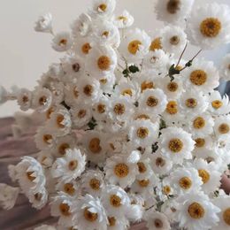 Decorative Flowers 60g/lot Rudan Bird Dried Beautiful Natural Pink White Bouquet For Shooting Props Table Bedroom Wedding Home Decoration