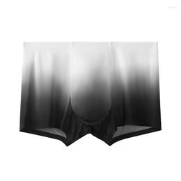 Underpants Ice Silk Men Pants Boxer Shorts 3XL Gradient Colour Mens Pack Cotton Slip Underwear Boxers And Panties Sexy Ultra Thin