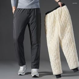 Men's Pants Winter Plush Waterproof Warm Down Cotton Outdoor Windproof Thicken Lamb Fleece Casual Large Size Sports