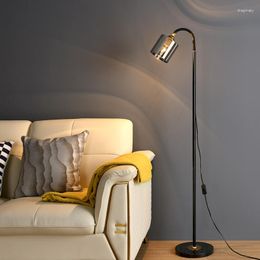 Floor Lamps Modern Smoke Grey Glass For Living Room Standing Lamp Corner Rotatable Holder Nordic Stand Light