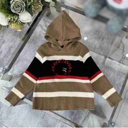 designer baby pullover kids Multi Colour stripe design hooded sweater Size 100-160 CM high quality Long sleeved child Knitwear Aug10