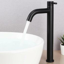 Bathroom Sink Faucets Single Cold Kitchen Faucet Counter Basin Antirust Philtre Impurities Black 304 Stainless Steel