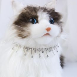 Dog Apparel Cat Necklace Pearl Collar Adjustable Cats Rhinestone Po Pet Accessories For Small Medium Kitten