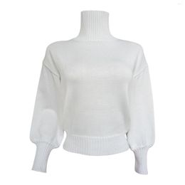 Women's Sweaters Solid Colour Bubble Sleeve High Neck Fashion Casual Camera Top Extender Clothes For Women 3x