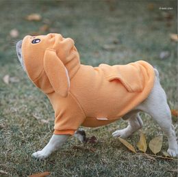 Dog Apparel Clothes For Small Male Dogs Designer Autumn Coat Jacket Yorkie Chihuahua Puppy Clothing