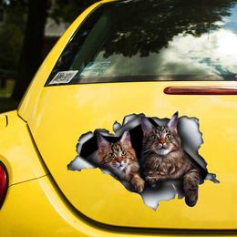 Stickers Cute Cats 3D Self-adhesive Decal Car Sticker Waterproof Auto Decors on Bumper Rear Window Laptop Choose Size #S60475 R230812