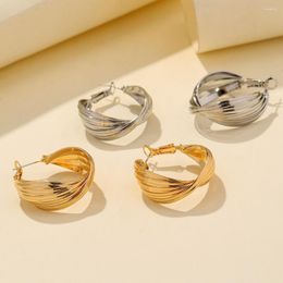 Hoop Earrings Sillver Colour For Women Gold Plated Hypoallergenic Huggie Silver Hoops Small Fashion Dainty Ear Jewellery