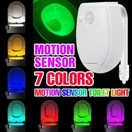 LED Toilet Lamp PIR Motion Sensor Night Light RGB Washroom Neon Lamp For Bathroom WC Toilet Bowl Backlight 7 Colours LED Lights HKD230812