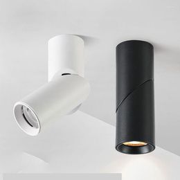 Ceiling Lights Led Lamp For Living Room Bedroom Rotate 90 Degrees Light Cylindrical Decor Lighting Fixture