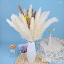 Decorative Flowers White Bulrush Pampas Grass Natural Dried Home Wedding Guest Gift Living Room Garden Outdoor Decoration Accessories
