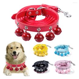 Dog Collars Leather Collar Leash Set Puppy Para Perro Hondenriem Leer Halsband Hond Guinzaglio Cane Pet Products Accessories