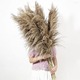 Decorative Flowers 9pcs Natural Large Grey Pampas Decor Tall 4 FT Long Fluffy Dry Pompas Grass For Floor Vase Rustic Wedding Party Boho Home