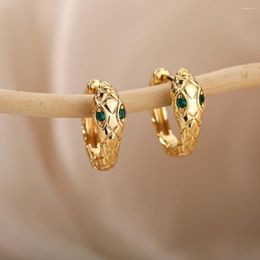 Hoop Earrings Punk Animal Snake For Women Silver Gold Colour Rose Red Green Black Zircon Small Ear Buckle Vintage Party Jewellery